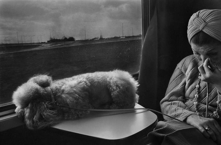 Harry Gruyaert, Belgium, Between Brussels and Ostend. On the train. 1975.