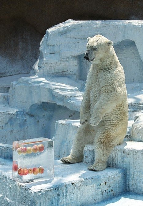 ACtrlFreak's tweet photo. Guess I'll just wait here then... https://t.co/r5YeoyuIl2