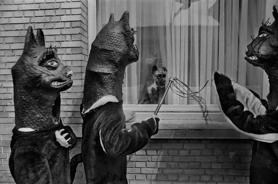 Harry Gruyaert, Belgium, Province of West Flanders. Town of Ypres. Cats festival. Since the 10th century, on the second Sunday of the month of May, people celebrate cats to be fortunate for the rest of the year. 1975.