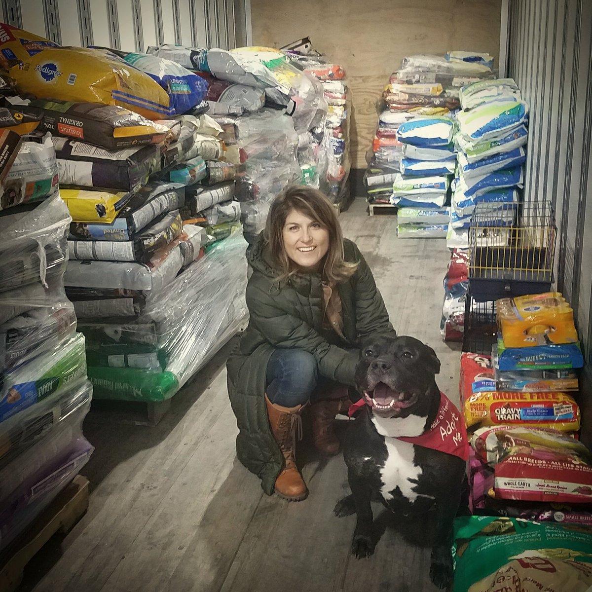 RescueBroad's tweet photo. Ninja the #fosterdog had a blast with @Philadoptables this week at @PrestonSteve933 #CampOutForHunger - hoping his forever family finds him soon! Adopt Ninja through @HomeAtLastDogsR 

#AdoptDontShop #adoptme #adoptabull #crazydoglady #pitbulllover #garyveechallenge @XfinityLive https://t.co/7BCkGO0H7I