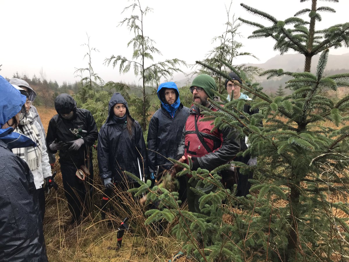 dnaxe's tweet image. Great day with @HardknottForest @green_lancaster in Duddon Valley removing spruce from the former plantation to enable natural regeneration of oak, birch, willow etc. Thanks to John &amp;amp; Craig for hosting us. Ride up from Foxfield on #CumbrianCoast Line.