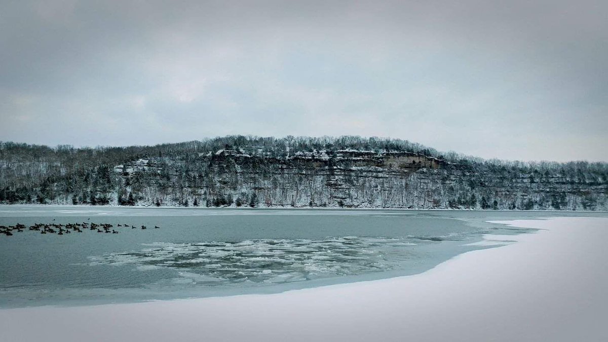 Winter isn't too far off....
#lakeoftheozarks #frozen #osageriver #ice #snowstorm #snow #geese #cold