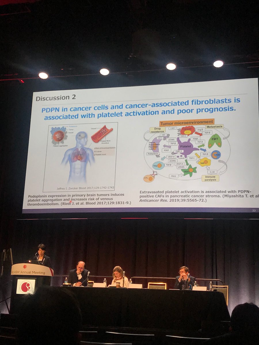 Interesting talk on the role of #podoplanin and CLEC-2 in cancer-associated thrombosis by Dr Suzuki-Inoue. Platelets might play a more relevant role than we might expect. #ASH19 <a href="/podoplanin/">Podoplanin International Network</a>