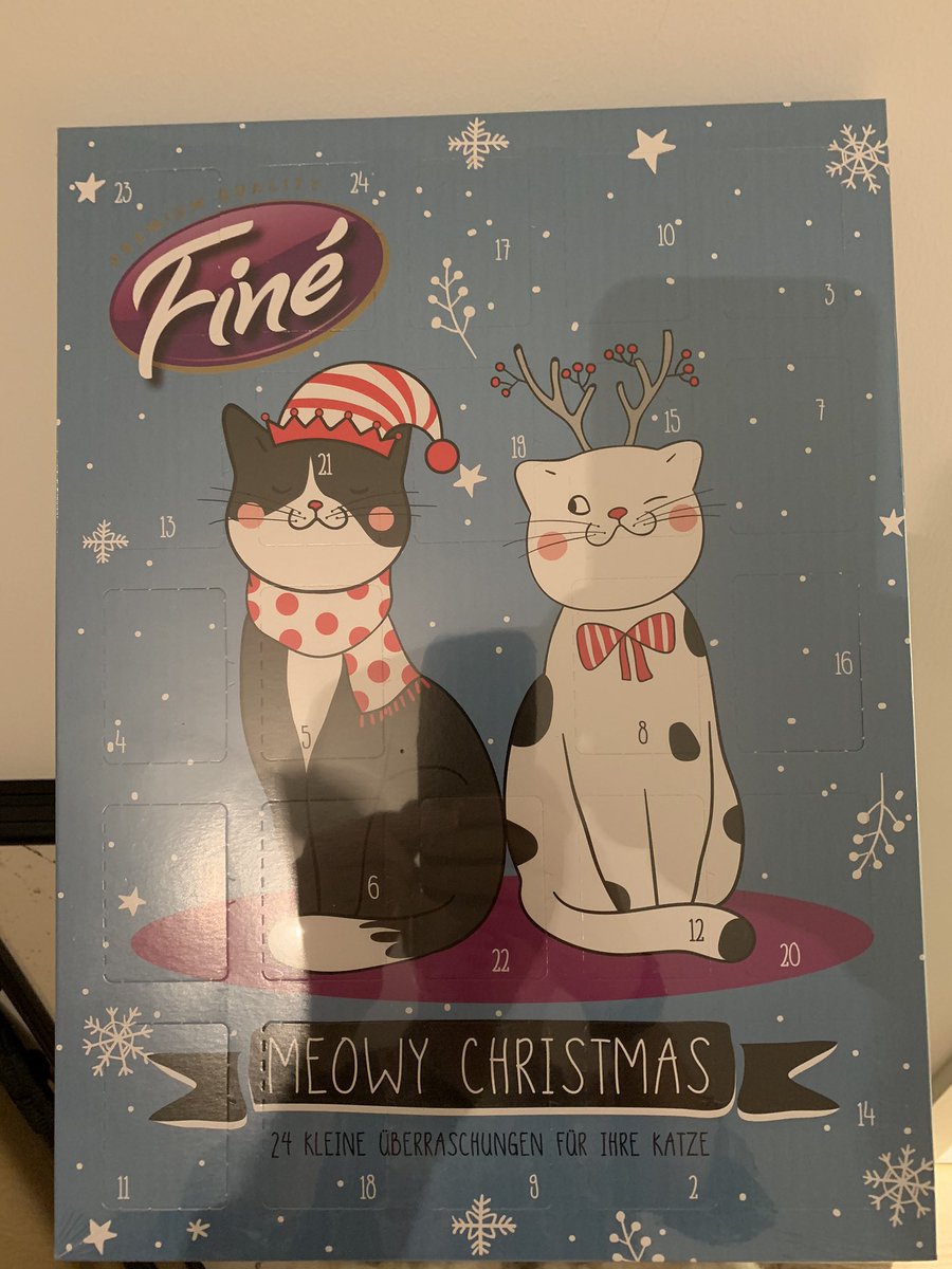 domikronos's tweet photo. Fröhlichen 2. Advent! (Fast) 🤪 Abby liebt ihren Kalender nicht. Zumindest verweigert sie Türchen Nummer 1. 🙄 #Cats #CatsOfTwitter #MainCoone #Abby https://t.co/GgvIa3ZCpo