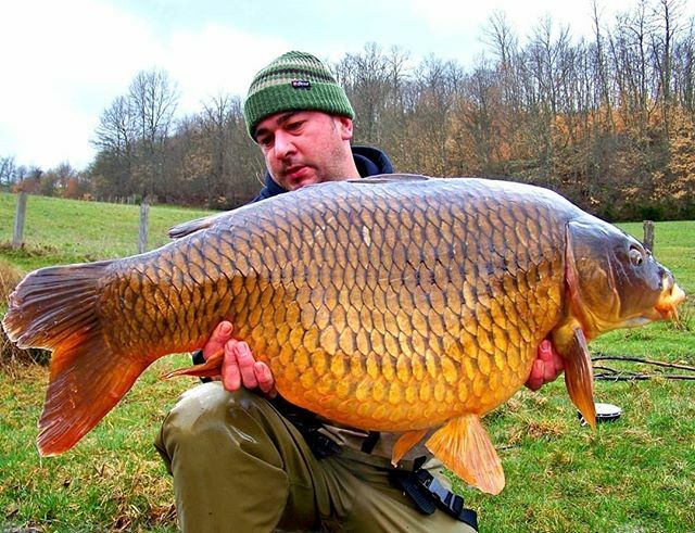 FeedupTeam's tweet photo. Member Serani Antonio #feedup #feedupteam #neversleep #spaccalabig #carp #carpfishing #bigcarp #lovecarp #lovecarpfishing #lovefishing #navitas #navitasangling #navitasitalia #pelzer #instagood #instacarp #instafoto #lake #fishing #nokill #freecarpfreewa⦠https://t.co/QQfsNaEt6k https://t.co/OAEXgxstLu