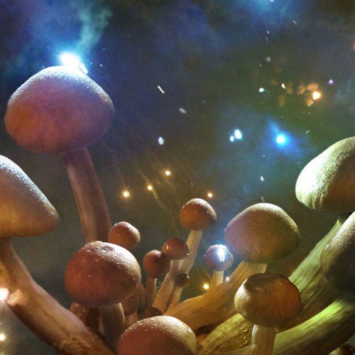 Dj Onionz (@djonionz) on Twitter photo 