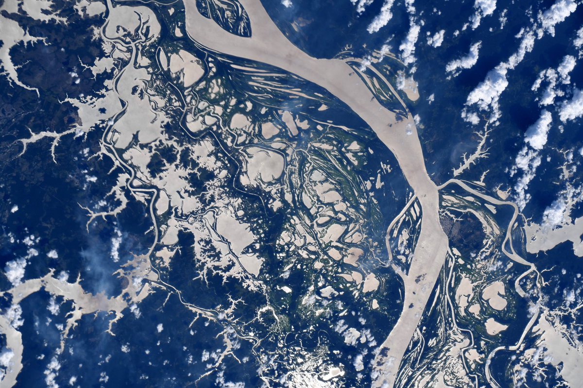 Astro_Jessica's tweet photo. In one small portion of a @Space_Station pass last week, I was fortunate enough to capture stunning views of the entirety of the mighty Amazon River winding its way across South America (see also Thanksgiving post). Which one is your favorite?
⁣
#Nature #EarthArt #AmazonRiver https://t.co/UcPaJk1Wnk