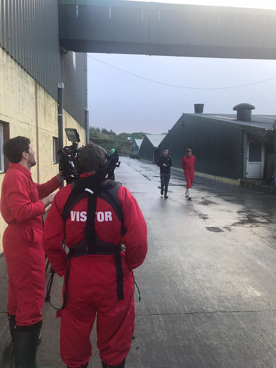 Shane McAuliffe 🐷✈️ tweet media