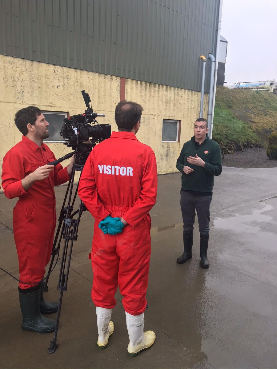 Shane McAuliffe 🐷✈️ tweet media