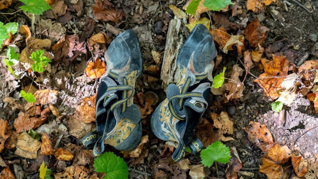 Sights from a Saturday well spent. 

[Photo by Taylor Chesney]