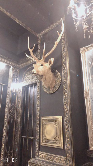 コスプレイヤー木漏日みけらのTwitter画像32