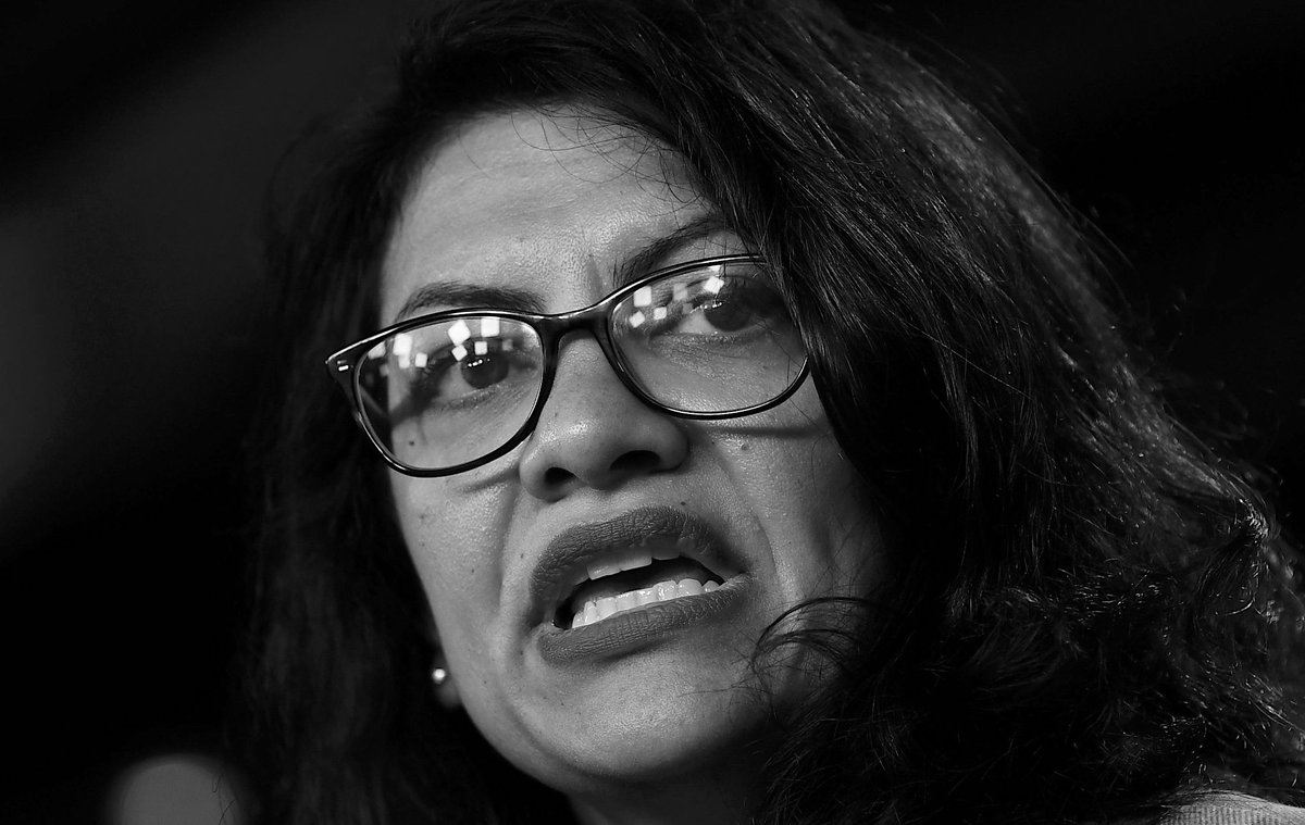 Rashida Harbi Tlaib.18 U.S. Code § 2383 - Rebellion Or Insurrection18 U.S. Code § 2384 - Seditious Conspiracy18 U.S. Code § 2385 - Advocating Overthrow Of Government