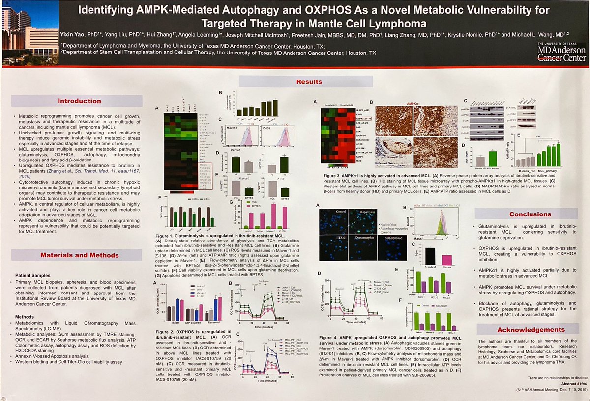 michaelwangmd's tweet photo. The second poster tonight from my lab: “Identifying AMPK-mediated autophage and OXPHOS as a novel metabolic vulnerability for targeted therapy in #mantlecelllymphoma”. The lead author Dr. Yixin Yao is a great scientist! https://t.co/tS1oUN39rC