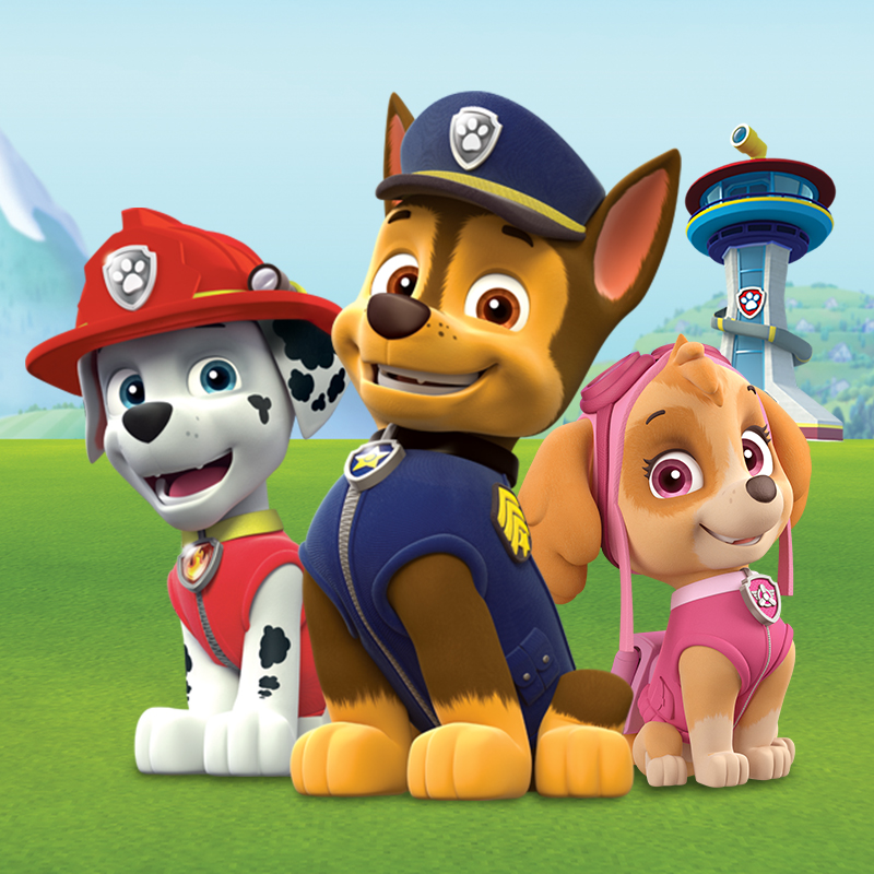Щенячий патруль. Райдер и его щенки. Щенячий патруль райдер и щенки. Мы его щенки. Paw patrol 3.