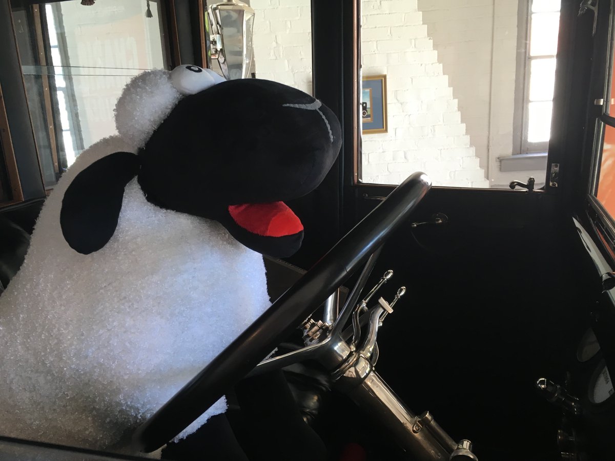 woolly_wilson's tweet photo. I am on the road today with our #WWI program! I can't wait to meet kids from @AylorPEHealth in Stephens City, Virginia! Don't worry, I did not take the Pierce Arrow up #interstate81. #Museumsontheroad #museummascot #outreach https://t.co/ZN78iWjWBk