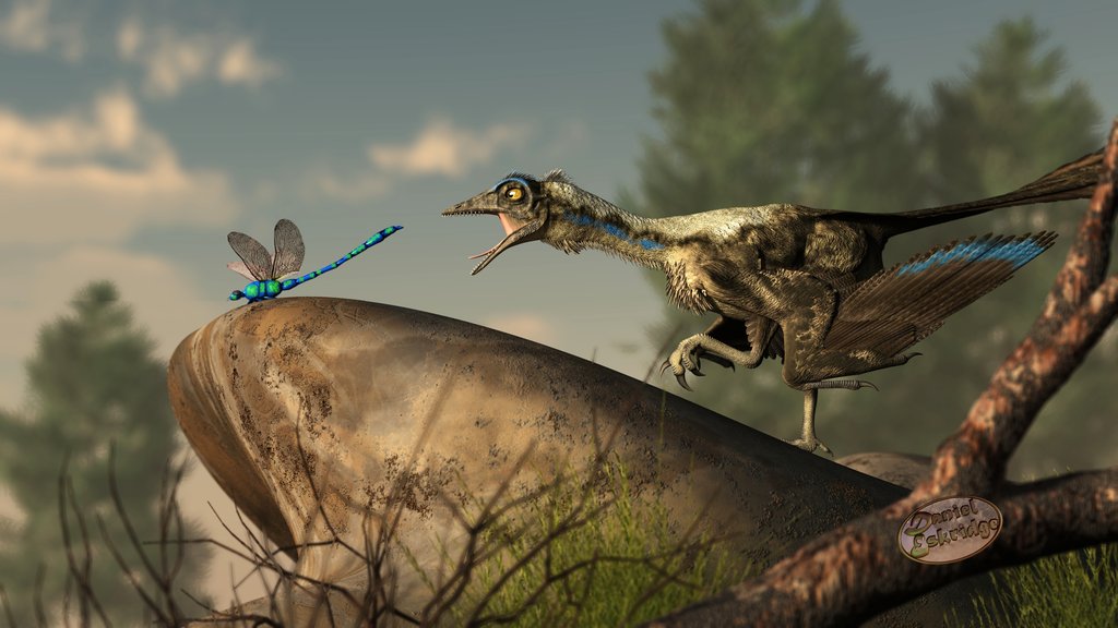 ExtAnimals's tweet photo. #Archaeropteryx
Some scientists referred to it as a bird-like #dinosaur and other scientists have referred to it as the first #bird
Most likely it's a “missing link” between dinosaurs and birds and was in a transitional form.
📷Daniel Eskridge | Emily Willoughby
#extinct #animals https://t.co/PqHwl29gBM