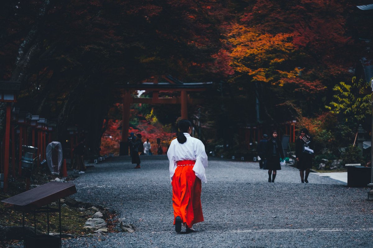 Japan_In_Image's tweet photo. 📷Hiyoshi Taisha
#japan #japantravel #shiga https://t.co/KBjGAxeYxu
