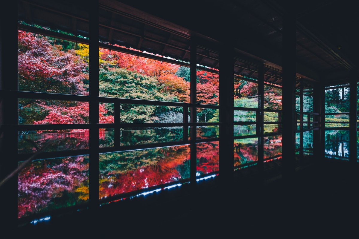 Japan_In_Image's tweet photo. 📷Hiyoshi Taisha
#japan #japantravel #shiga https://t.co/KBjGAxeYxu