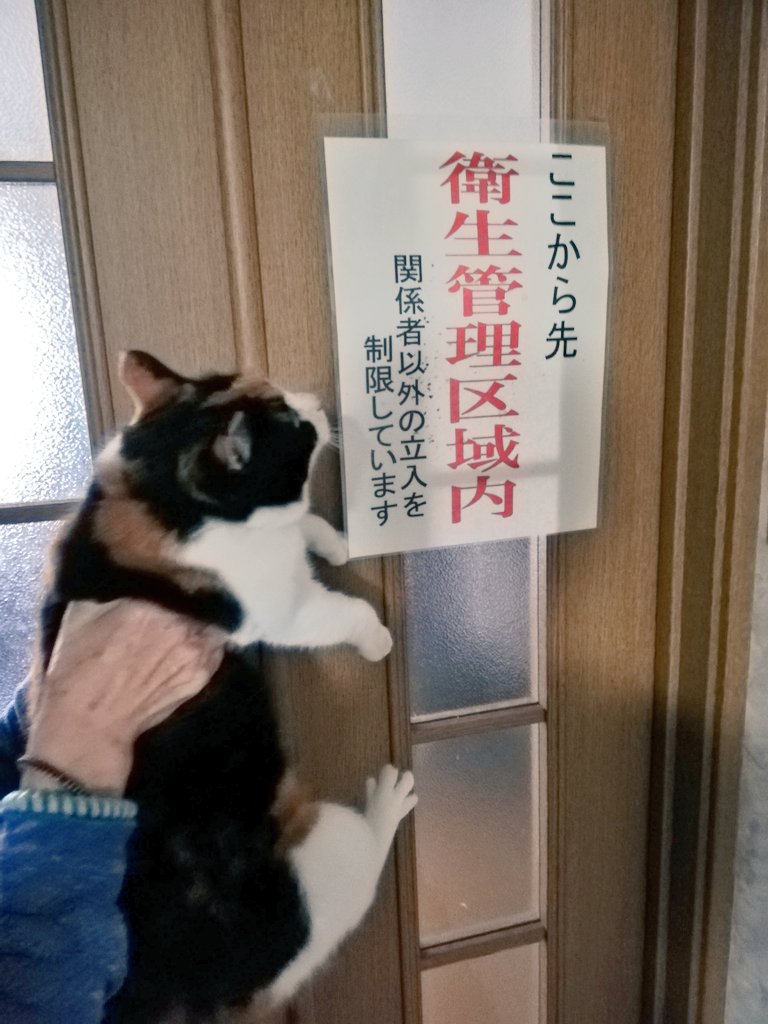 タートルボール B1sgirsgzjg47ft Twitter タートルボール B1sgirsgzjg47ft Twitter