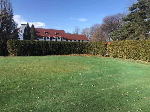 BeaconsfieldGC tweet media