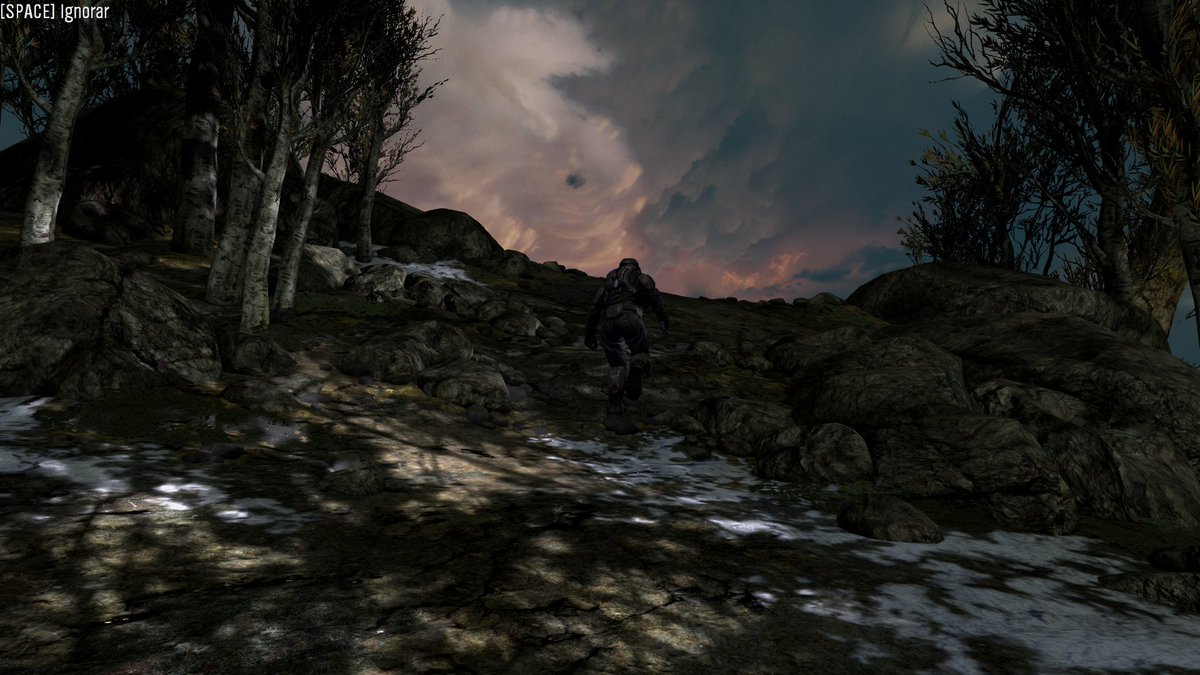 typevitor's tweet image. 