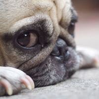 Emin Chaibi tweet media