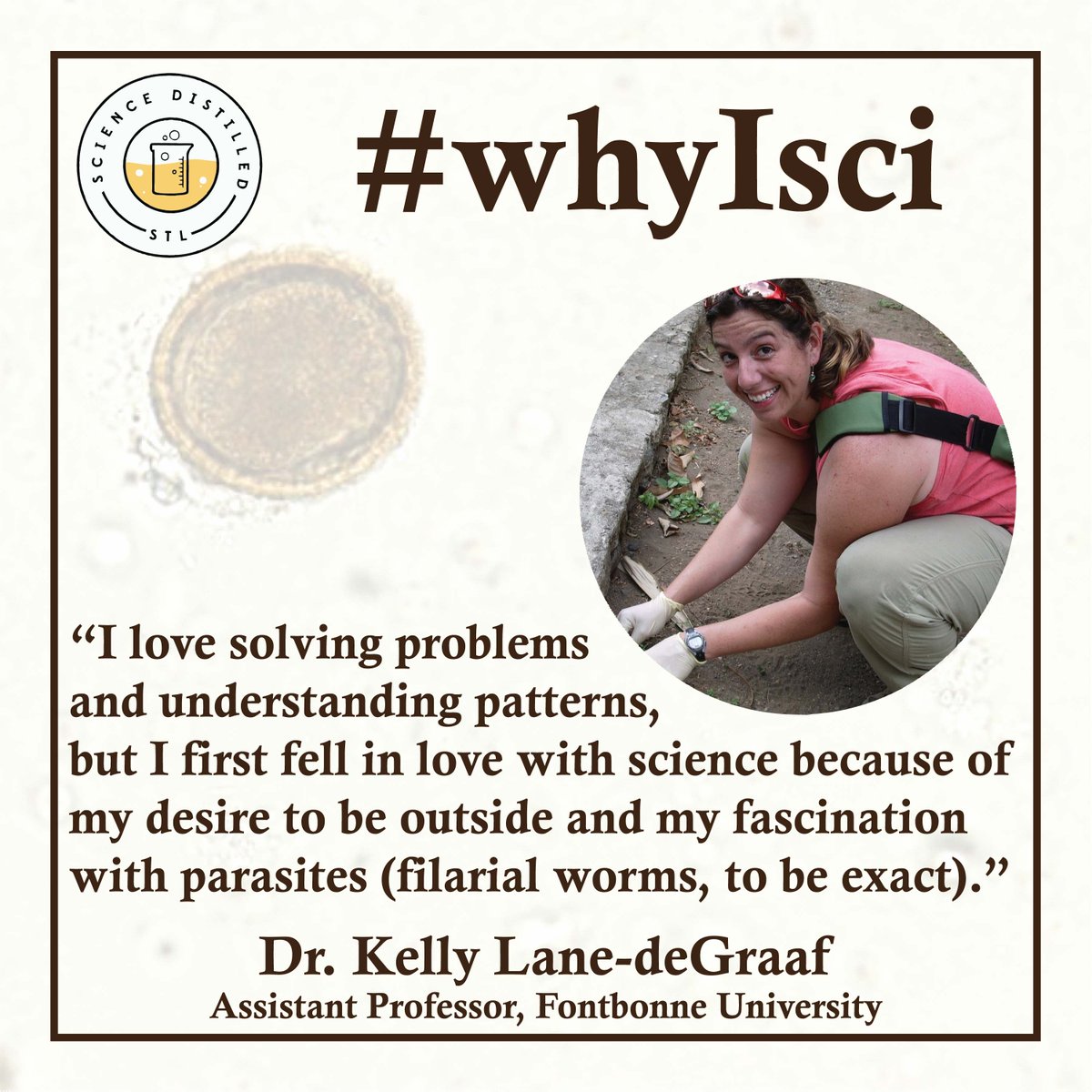 Science Distilled STL (@scidistilledstl) on Twitter photo Our 2nd speaker this Monday evening at <a href="/urbanchestnut/">UrbanChestnutBrewing</a> is Dr. Kelly Lane-deGraaf, assistant prof @FontbonneU! Using parasite infections in raccoons as a study system, @DrKLDG will show how environmental racism in St. Louis impacts people & urban wildlife.
#whyIsci Our 2nd speaker this Monday evening at <a href="/urbanchestnut/">UrbanChestnutBrewing</a> is Dr. Kelly Lane-deGraaf, assistant prof @FontbonneU! Using parasite infections in raccoons as a study system, @DrKLDG will show how environmental racism in St. Louis impacts people & urban wildlife.
#whyIsci
