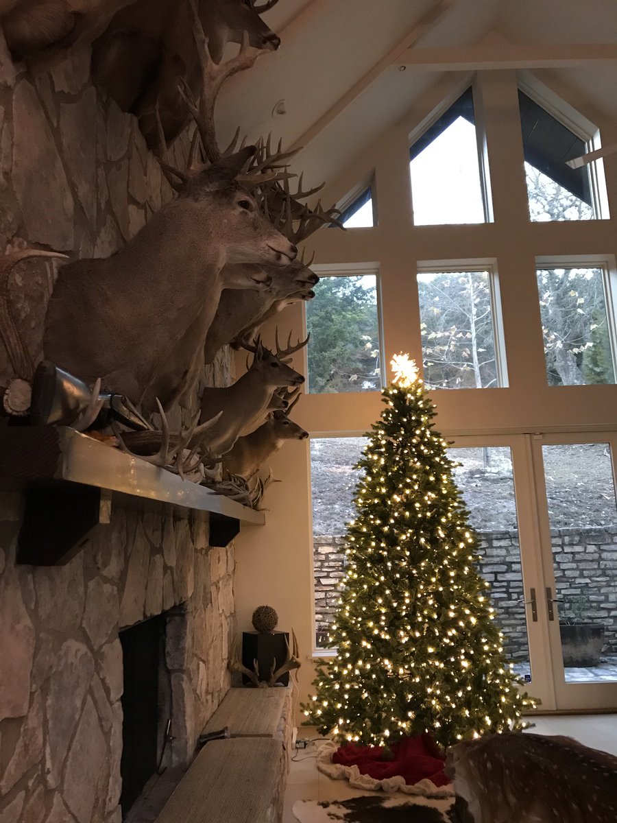 judgejulie's tweet photo. Feeling that Christmas spirit. Tree is 12 ft & I gotta lot more decorating #lovechristmas #proiswasthere https://t.co/WiyhKeGNg6