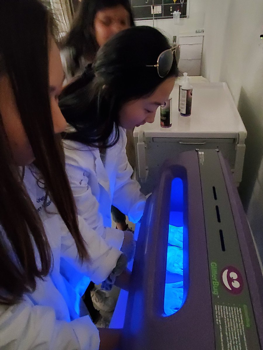 starfishtiff's tweet photo. Saturdays with STEM! Connecting @HCPSRobinsonHS students with @UofTampa and @TampaBaySTEM. Thank you for an amazing day!  @HillsboroughSch @Jeff_Eakins @SDHCMagnet @ib_rhs  #PAEMST https://t.co/5p89OCjCwd