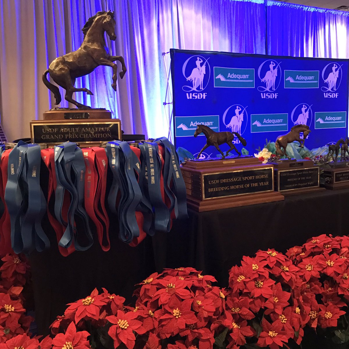 USDF's tweet photo. It’s almost time! The Salute Gala & Annual Awards Banquet is about to begin! This big finale to the Adequan®/USDF Annual Convention gives us a chance to recognize the accomplishments of our members for 2019! 🏆
#USDFConv #MakingStridesInSavannah #Adequan https://t.co/v4fZGJjDxa