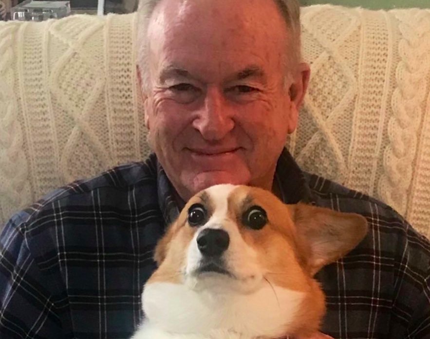 chelseahandler tweet picture