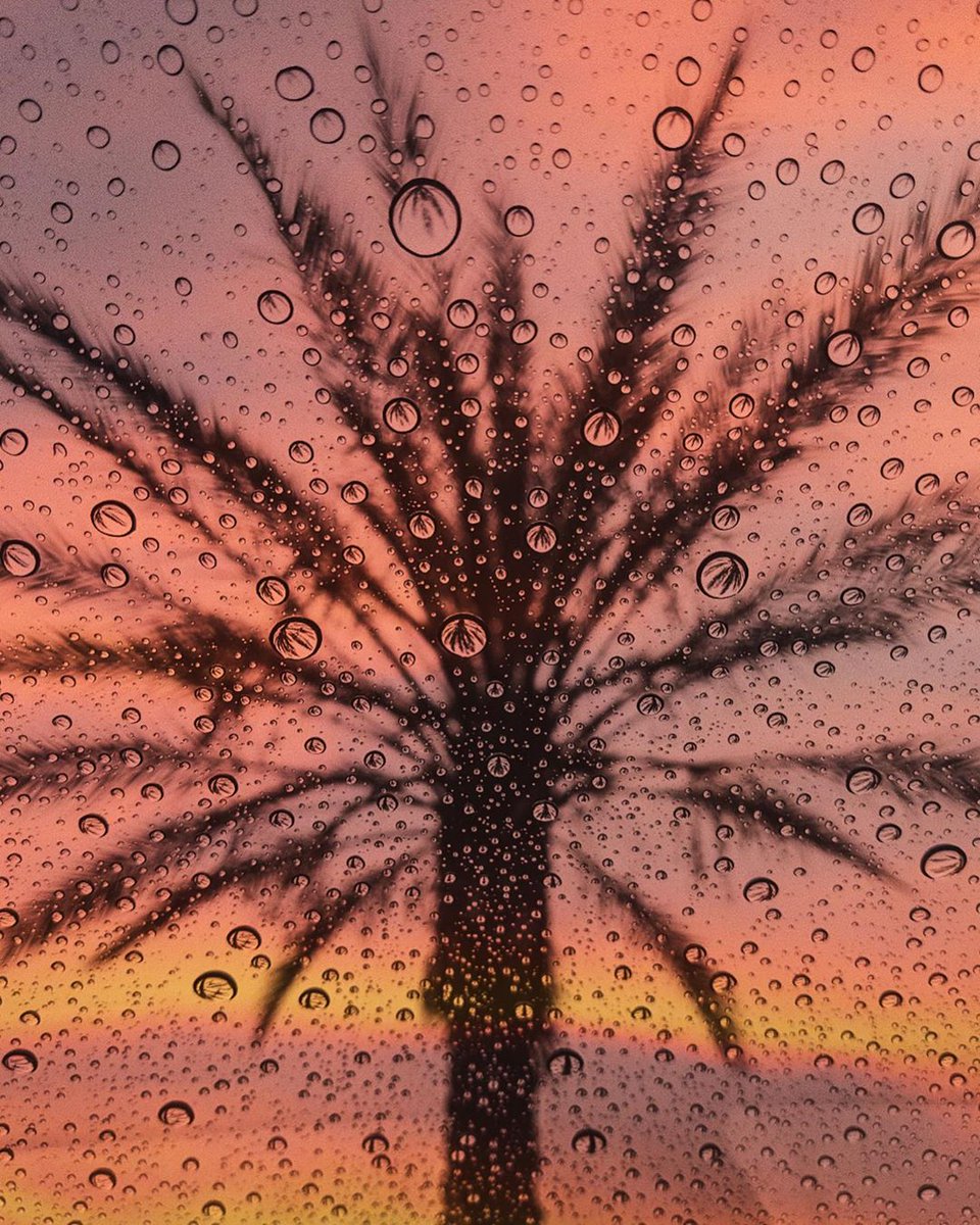 FlyNFishOysters's tweet image. Don't let the rain ruin your day, Fly N Fish will cheer and fill you up! 🤗
#newportbeach #newps #orangecounty
📸: IG user, debodoes