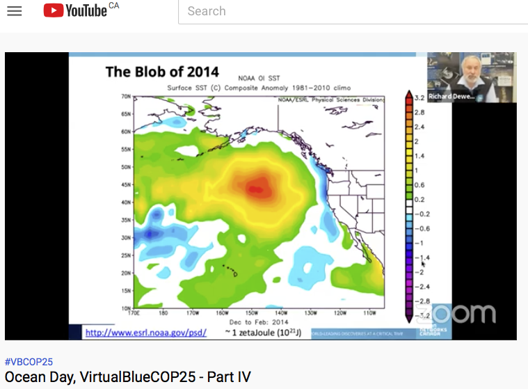 nerdondo's tweet photo. @Ocean_Networks's Richard Dewey is presenting live on Marine Heat Waves in the Northeast Pacific. In particular -- "The Blob" which had huge impacts in 2014-16. #VirtualBlueCOP25
Watch live at https://t.co/zV063Ulwga https://t.co/2mPaOuITQD