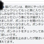 車を運転する前の「猫バンバン」は危険!音に驚いて入り込んでしまう猫もいる!