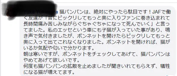 車を運転する前の「猫バンバン」は危険！音に驚いて入り込んでしまう猫もいる！