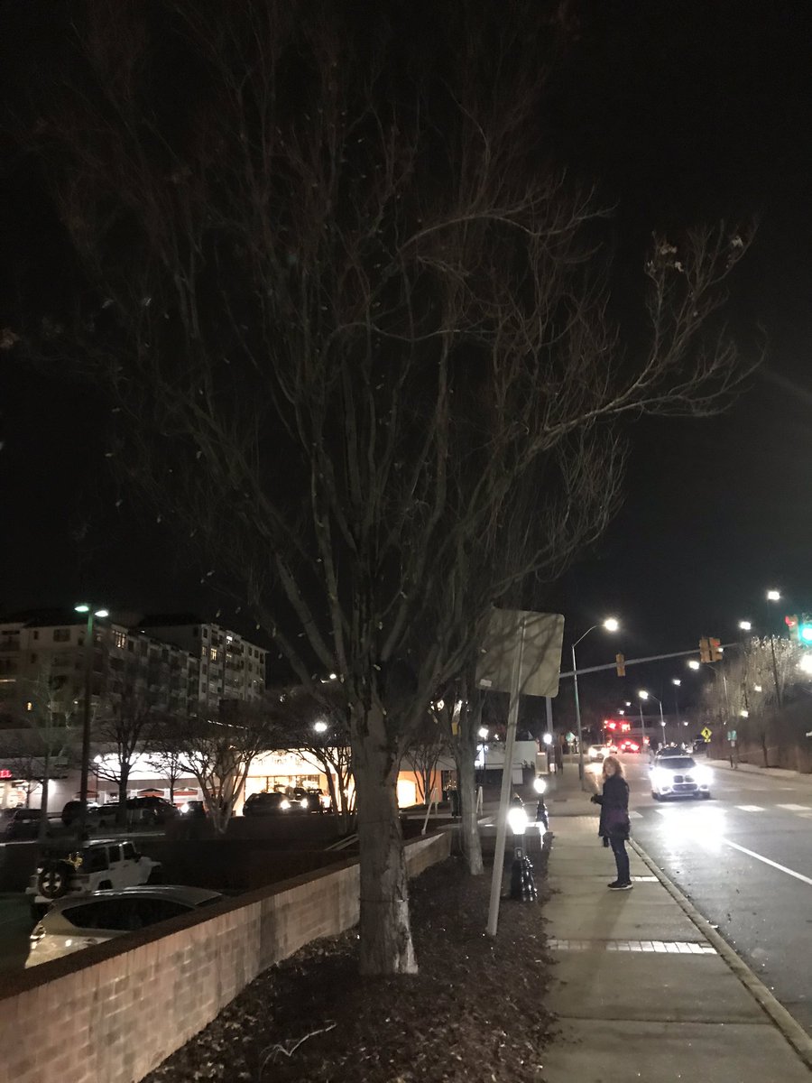 running_thunder's tweet image. Hey @CameronVillage , what’s with the (lack) of Your famous Christmas lights?