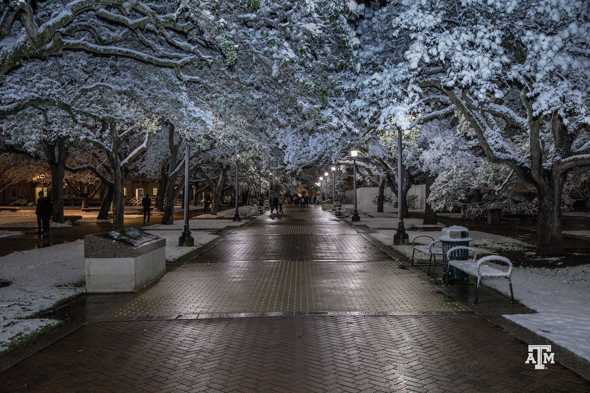 TAMU's tweet photo. Two years ago in Aggieland... ❄️ ❄️❄️ https://t.co/JFj8OYVMyw