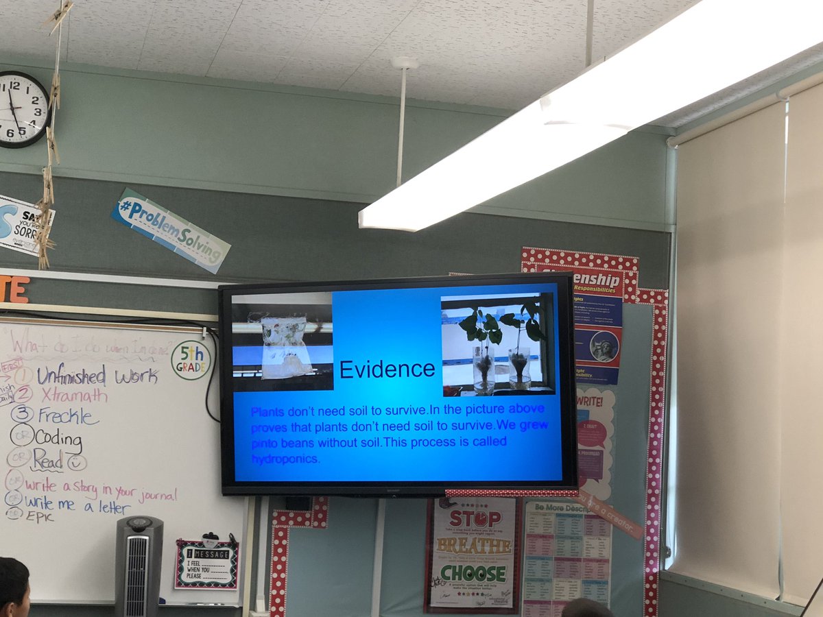 mlam_mandy's tweet photo. 5th graders present their scientific claims, evidence, and reasoning to Mrs. Rhodes to help clear up a disagreement between her and her son about whether or not plants need soil to grow. The consensus is no soil is needed, but many more questions arose about why soil is used. https://t.co/LYVQy5rVBE