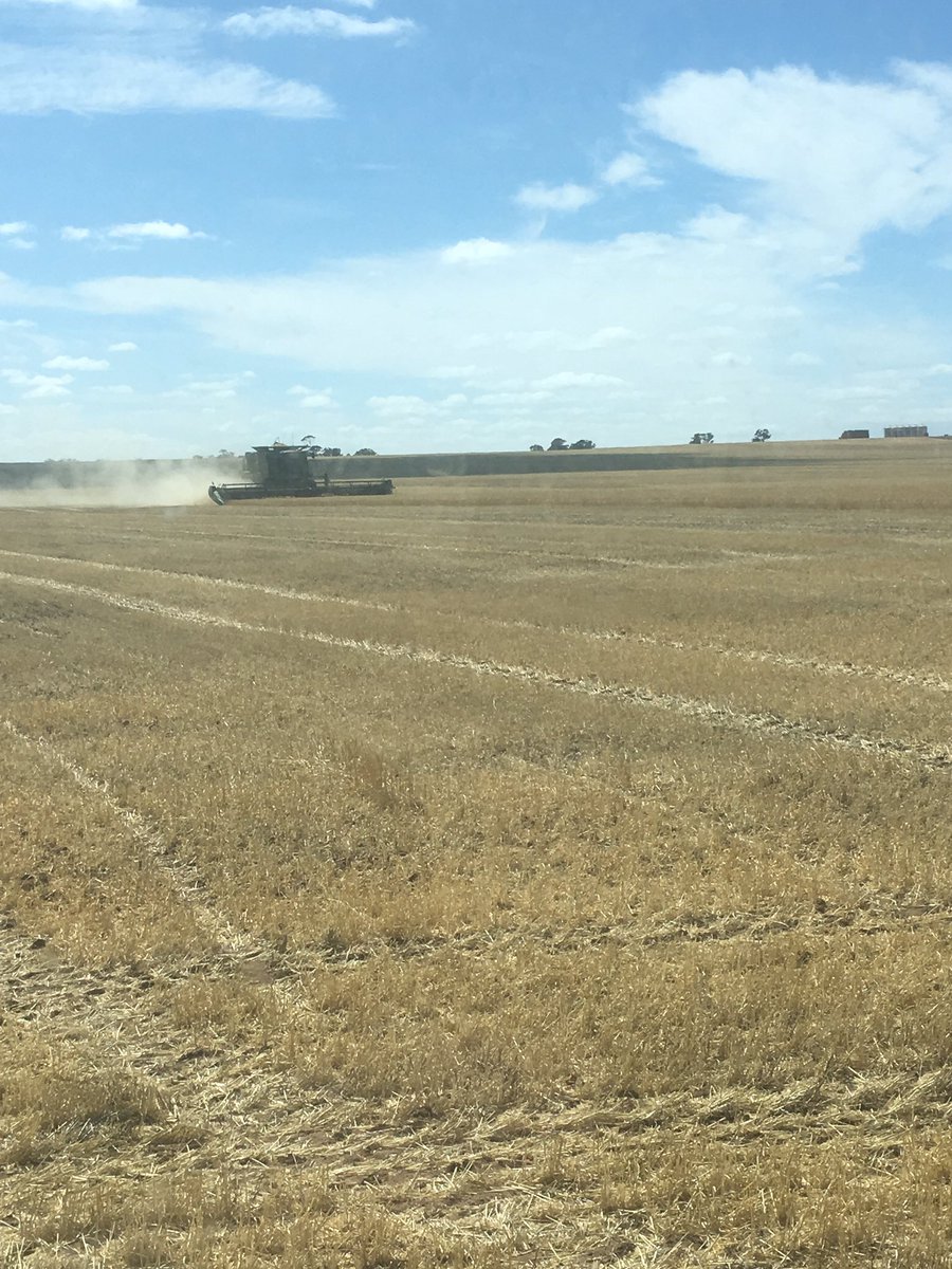 TimBarndon's tweet photo. Last 2 days with fire bans and one fire it’s back to it to finish the last 80ha of harvest 2019 😎😎🚜🚜 #letsfinish #Harvest19 #notlongnow #littleearly #fingerscrossed https://t.co/JODz6QPTZS