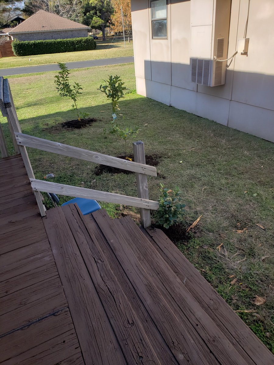 EISD Special Education Department tweet media