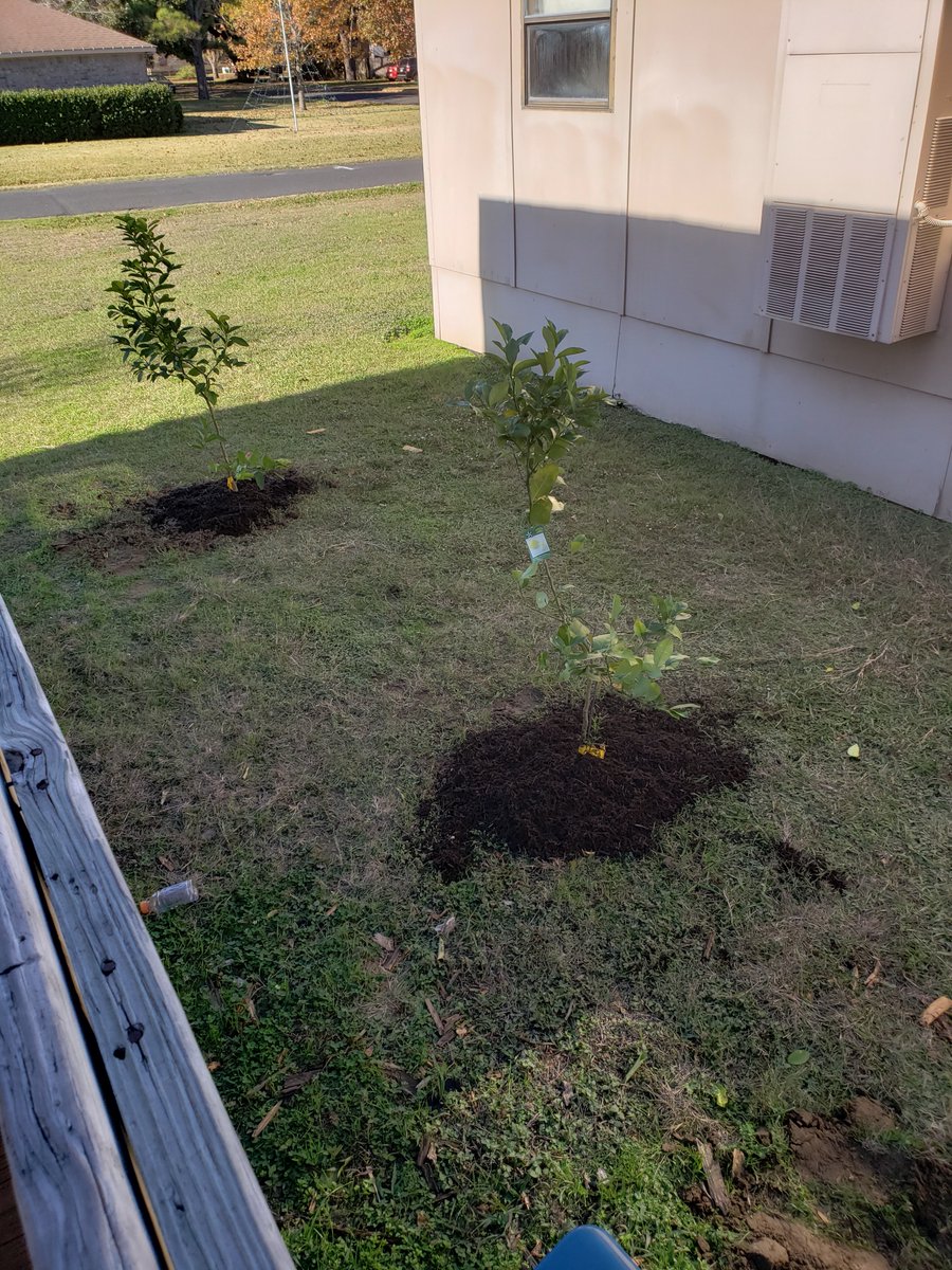 EISD Special Education Department tweet media