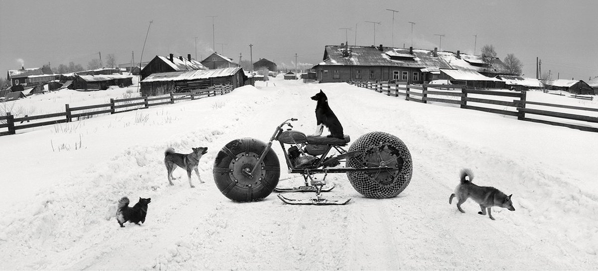Pentti Sammallahti, Solovki, White Sea, Russia (Dog on Motorbike), 1992