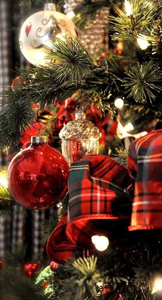 BelleVuedogs's tweet photo. Remember to check out our website https://t.co/PkgY55o5bg for all our latest offers and Xmas Deals... https://t.co/LHYxPw5fl8