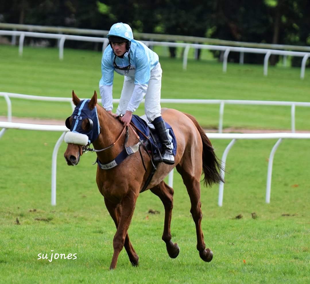 jones4352's tweet photo. Will always have a massive soft spot for this lad #Anotherventure @Chepstow_Racing @kimbaileyracing @msleighpollard https://t.co/7EUf5VaOBO