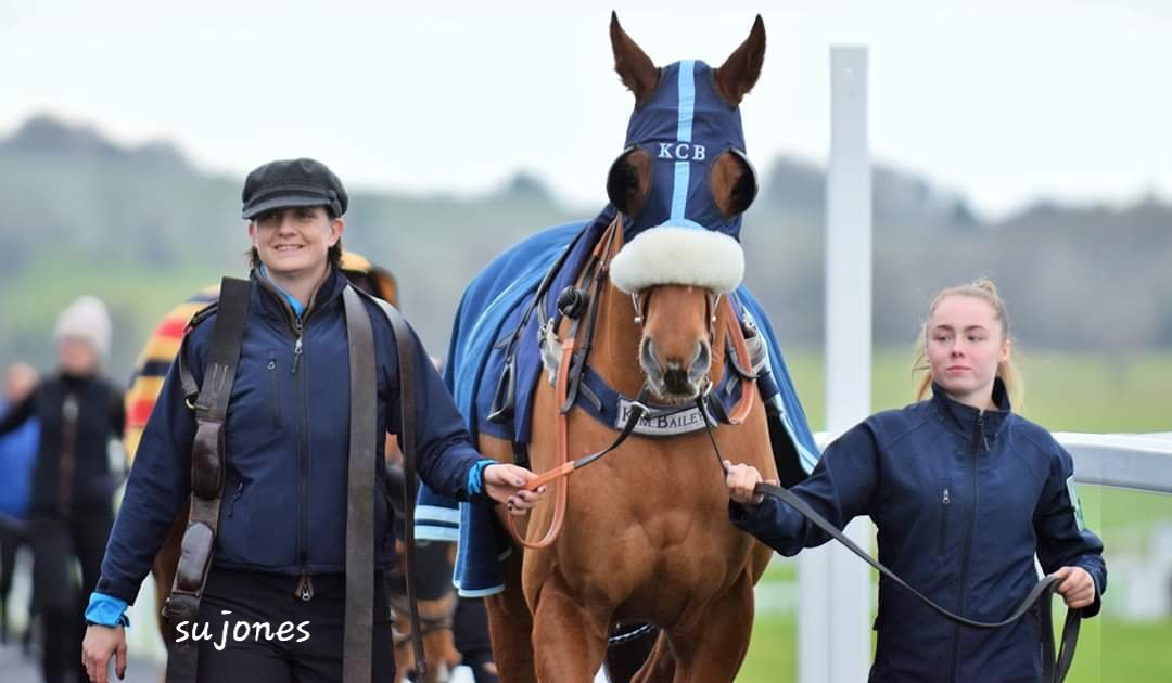 jones4352's tweet photo. Will always have a massive soft spot for this lad #Anotherventure @Chepstow_Racing @kimbaileyracing @msleighpollard https://t.co/7EUf5VaOBO