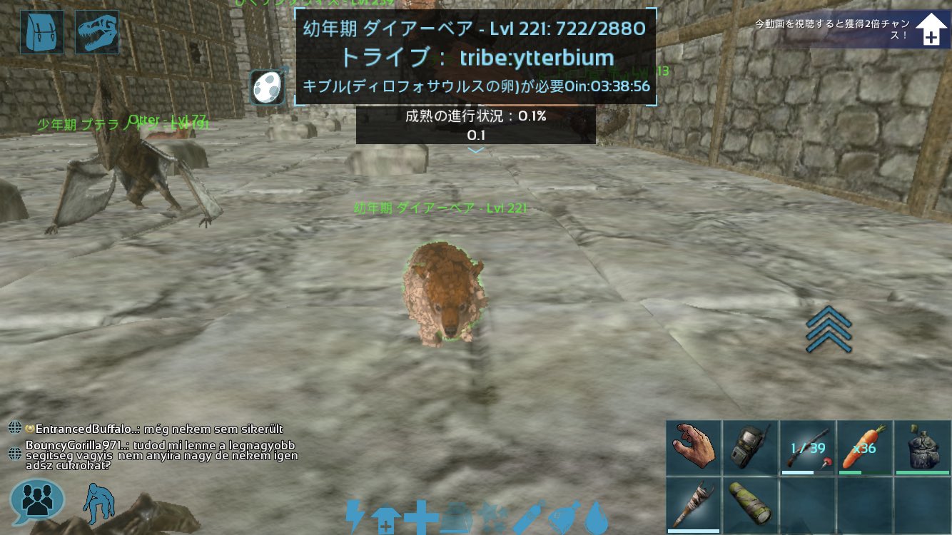 ディロ フォ サウルス キブル ディロ フォ サウルス キブル