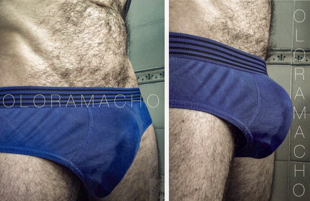 Este tweet va para todos los amantes de los gayumbos, los bultos y las pichas sucias!!
#bulge #bulgeaddict  #daddy #pig #oloramacho