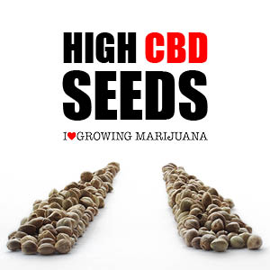 GoldenTicket2Space (@hempchoices) on Twitter photo 
