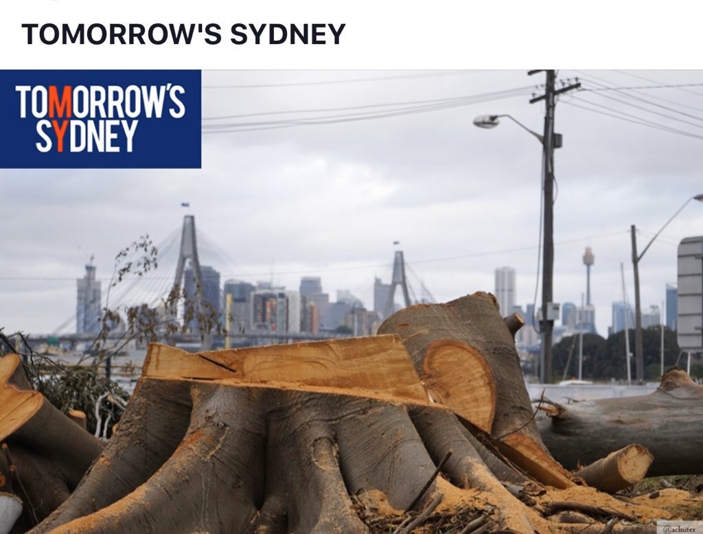 tilly64's tweet photo. @cockatoo_palm @sallymcmanus @smh NSW Govt has cut down thousands of trees, including century old trees for infrastructure projects &amp; supercede heritage protections.

City of Sydney just got approval for taller high rise - more cement/glass 

We need politicians who think differently 
#westconnex #cbdlightfail https://t.co/lHQu3J3MGa