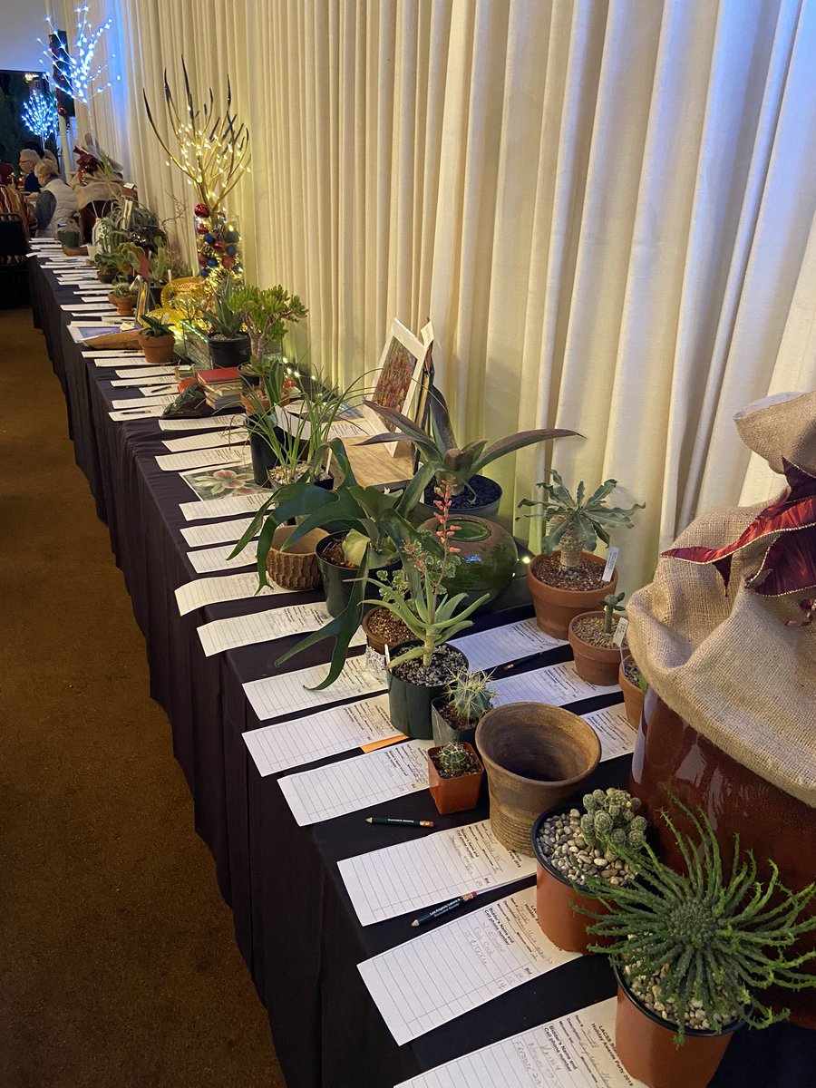 Crotalusandthem's tweet photo. Okay we’re going to call this the official start of the holiday season! The #LACSS Holiday Banquet. More societies should do this! ☃️🌵🎅 https://t.co/4HRM5IviVi